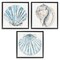 Stupell Industries Clam & Conch Watercolors 3 pc Framed Floater Canvas Wall Art Set Design by Christine Zalewski